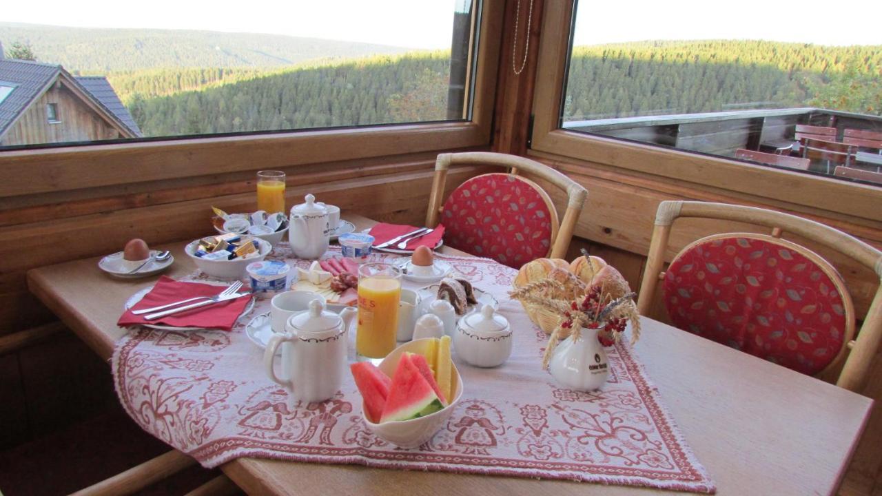 Berggasthaus & Pension Schoene Aussicht Klingenthal Ngoại thất bức ảnh