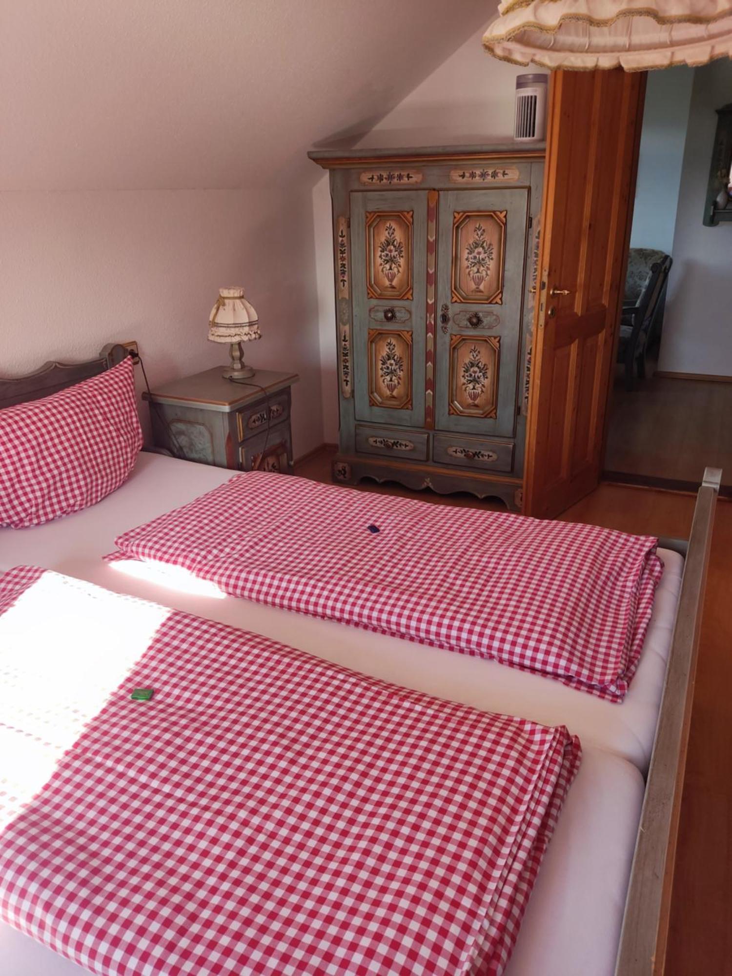 Berggasthaus & Pension Schoene Aussicht Klingenthal Ngoại thất bức ảnh